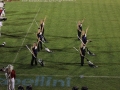IMG_8595_(Copy)